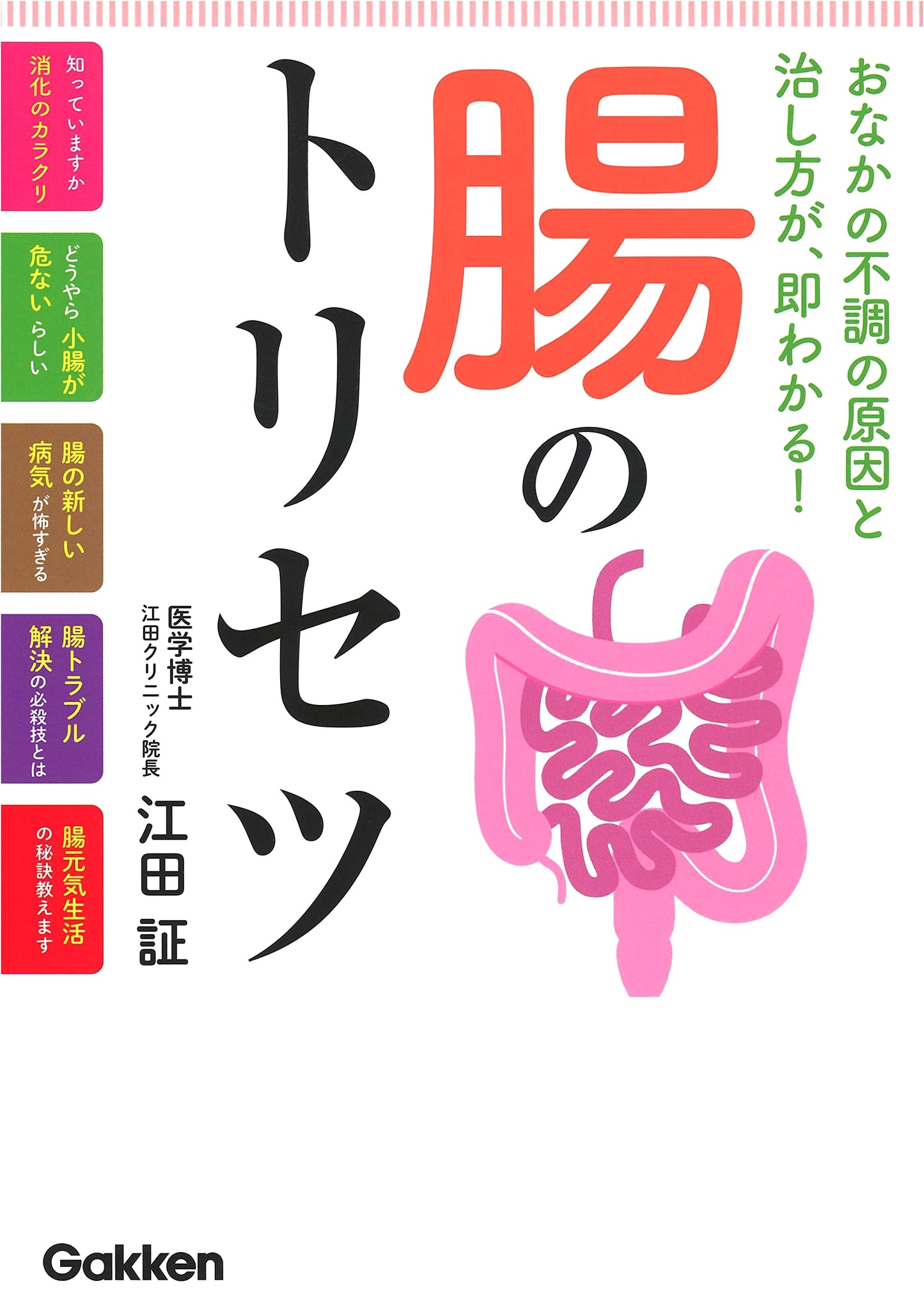 The Gut's User Guide