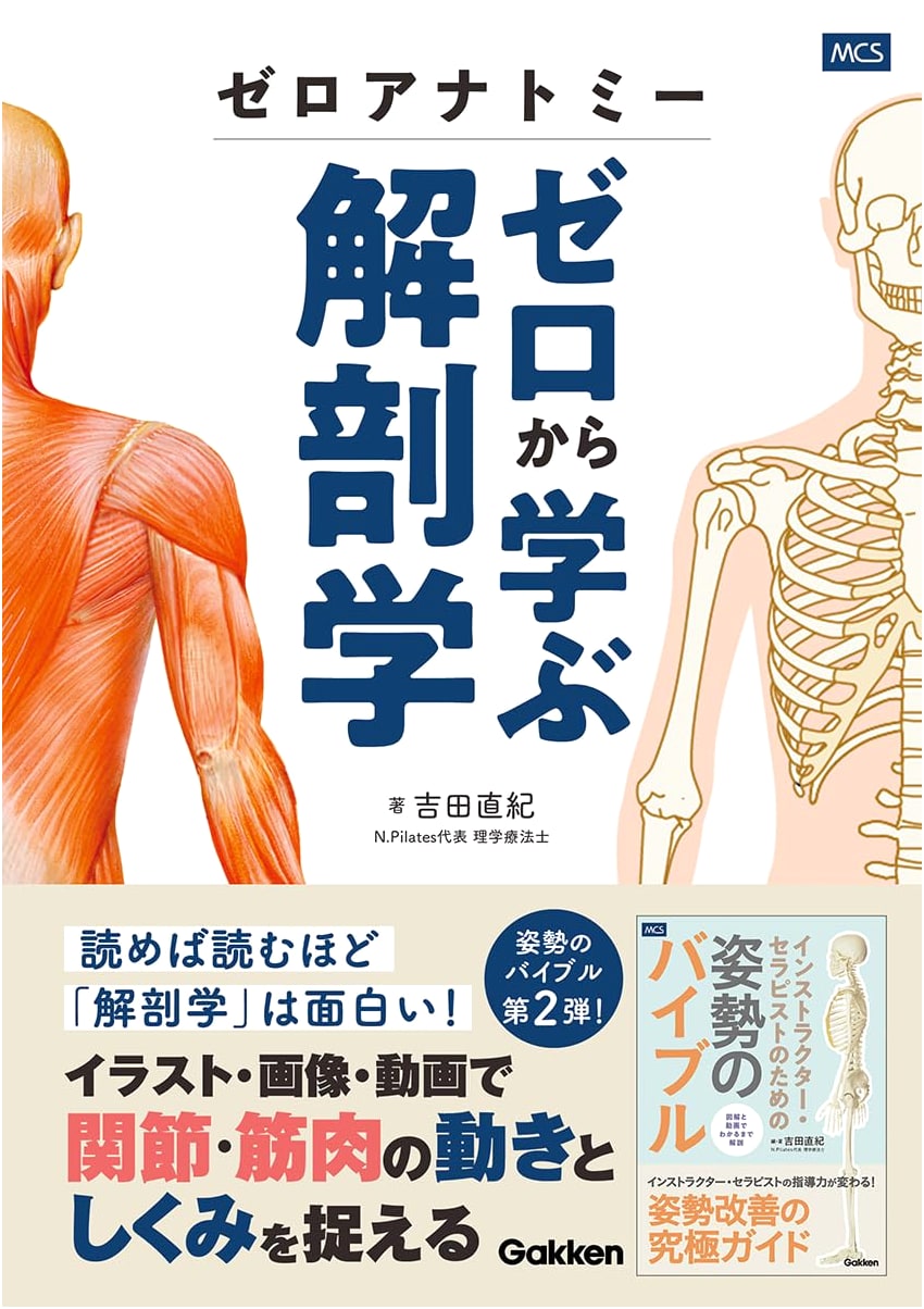 Zero Anatomy: Anatomy Learning from Zero by Naoki Yoshida