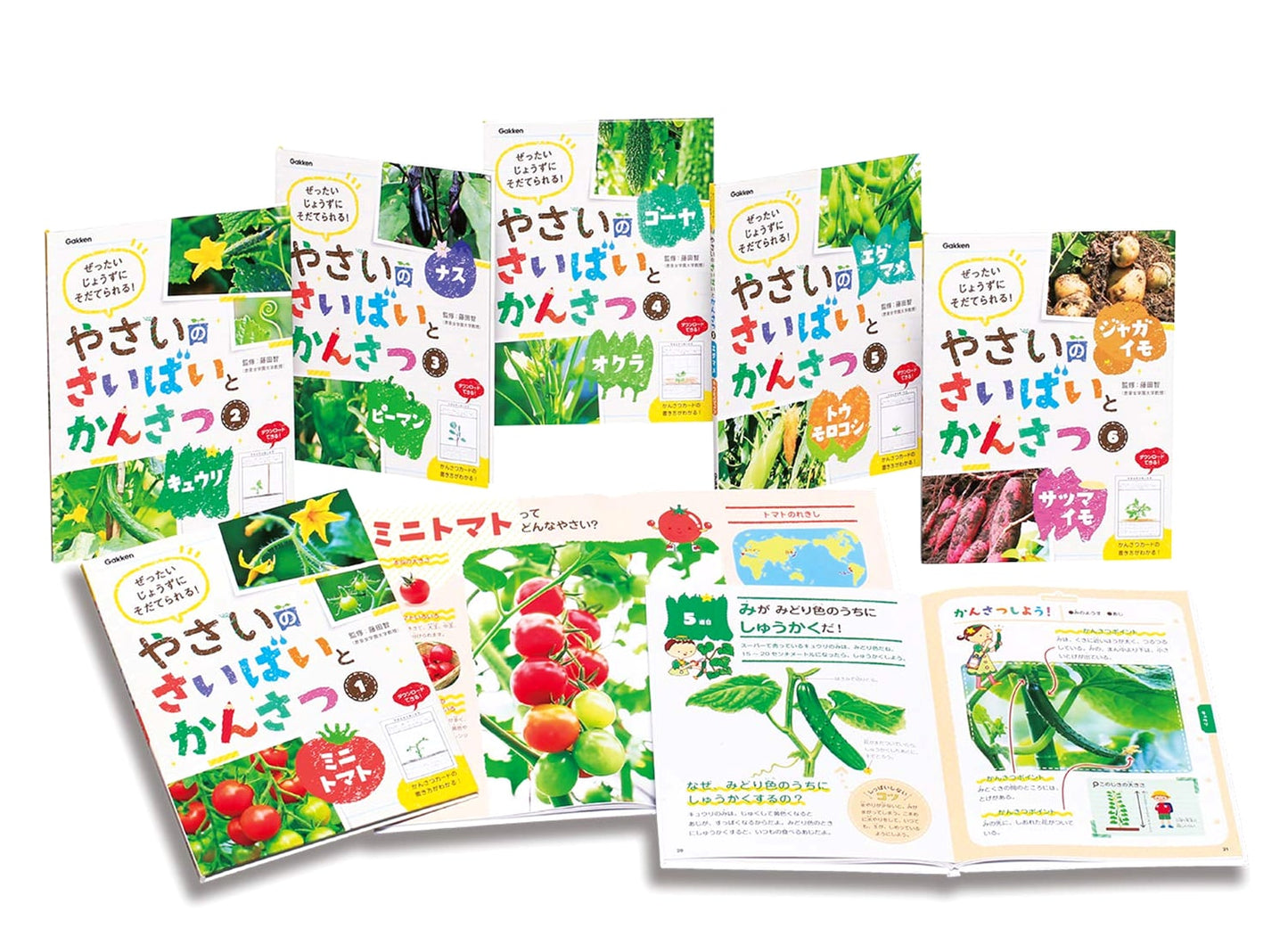 Vegetable Cultivation and Observation: Complete 6 Volume Set