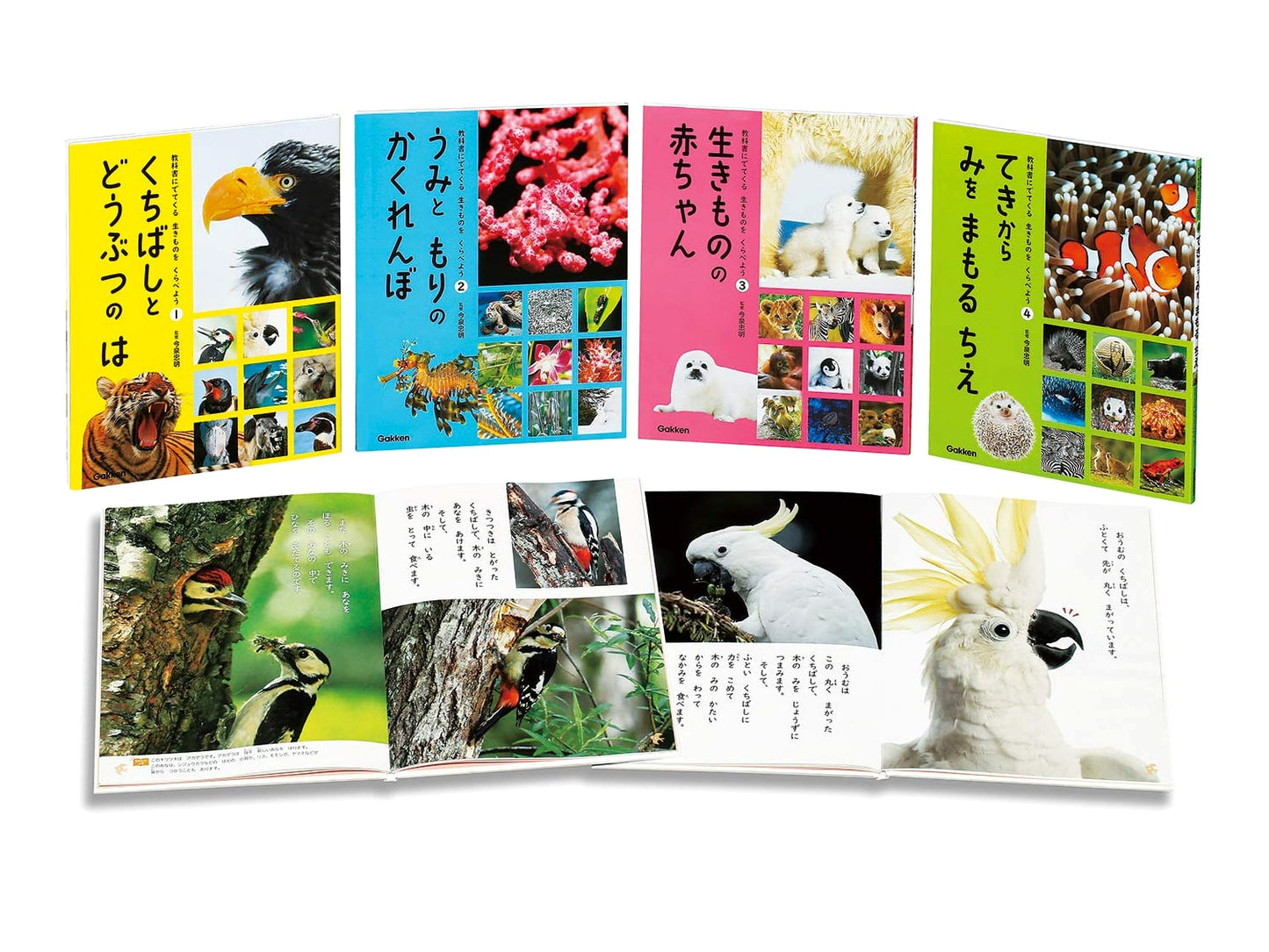 Comparing Living Things in Textbooks (Complete 4-Volume Set)