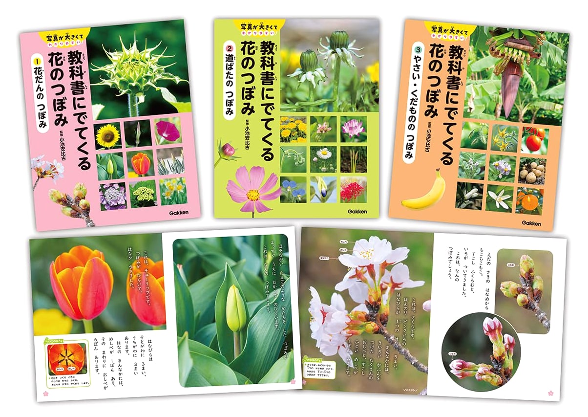 Flower Buds in Textbooks: Complete 3-Volume Set with Large, Clear Photos