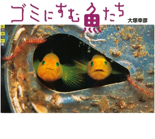 A Doorway to Our World: Fish Living in Trash