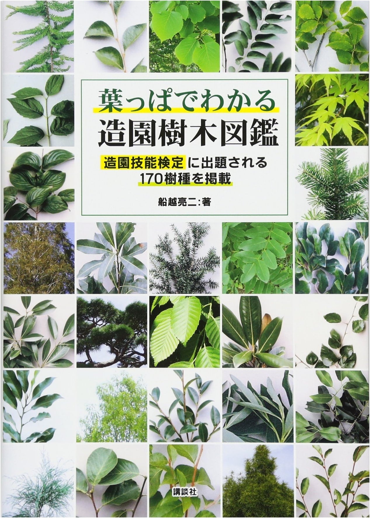 Landscaping Trees Illustrated: Identify by Leaves, 170 Species for Skill Tests