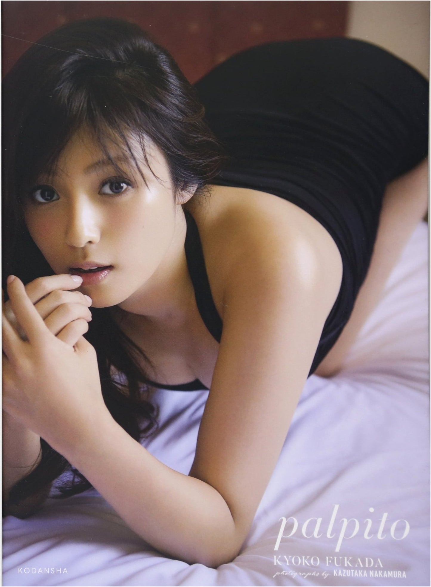The Kyoko Fukada Photobook: Palpito
