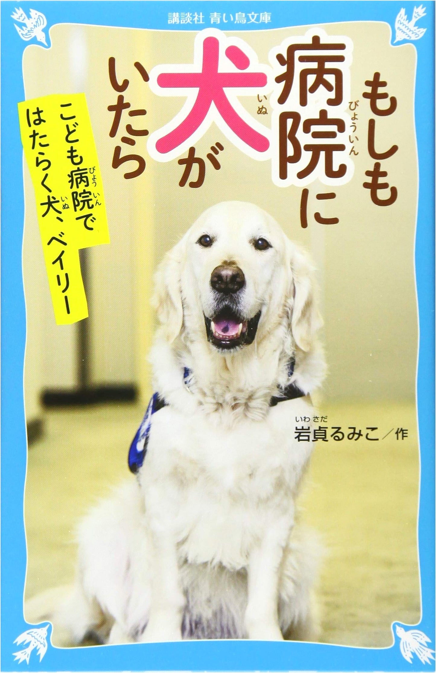 What If There Was a Dog in the Hospital? Bailey, a Dog Working at a Children's Hospital