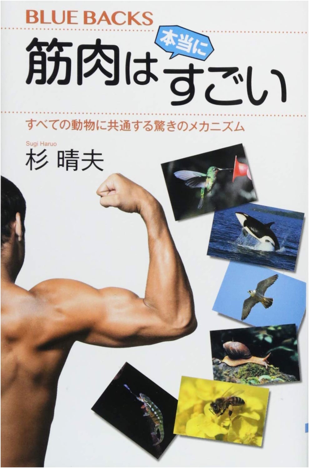 Muscles Are Truly Amazing: Unveiling the Mechanisms Common to All Animals (Blue Backs 2070)