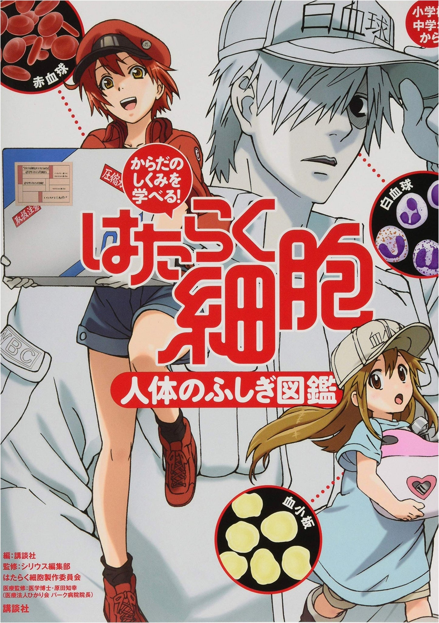 Cells at Work! A Wonderous Journey Through the Human Body