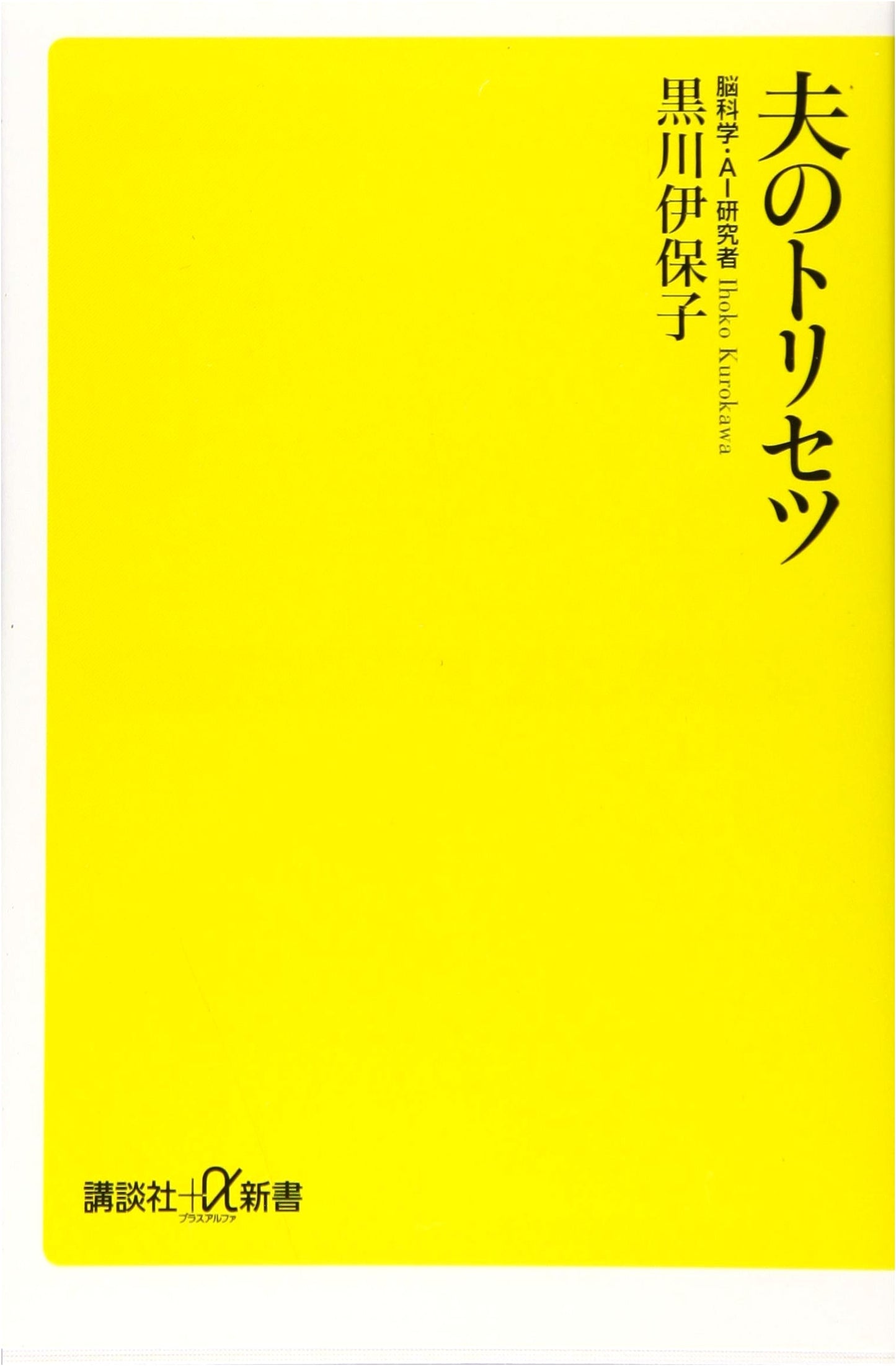 Decoding Your Husband: A User's Manual by Ihoko Kurokawa