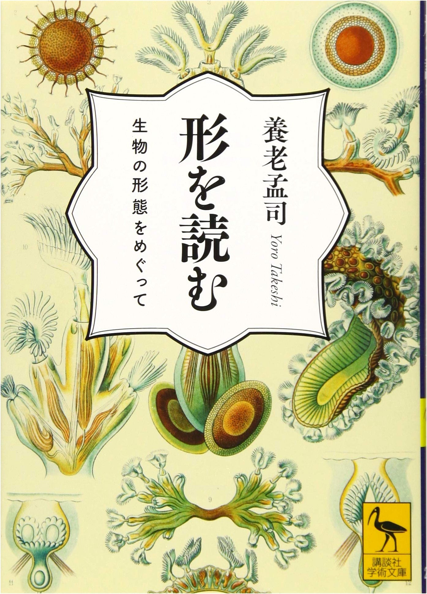 Reading Forms: On the Morphology of Living Organisms (Kodansha Gakujutsu Bunko 2600)
