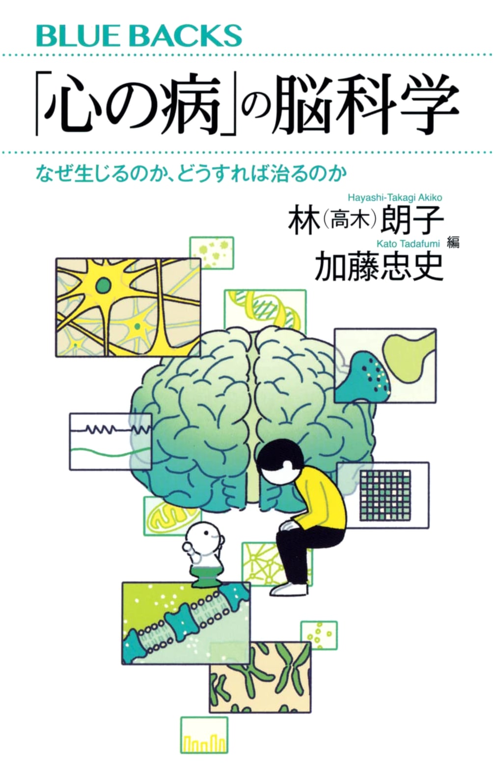 The Neuroscience of Mental Illness: Why It Happens and How to Treat It