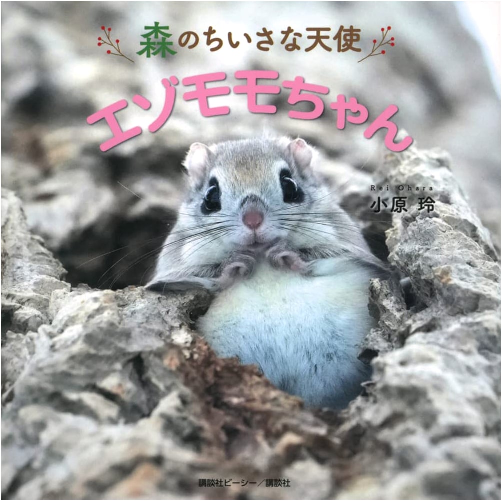 Little Forest Angel: Ezo Momo-chan by Rei Ohara