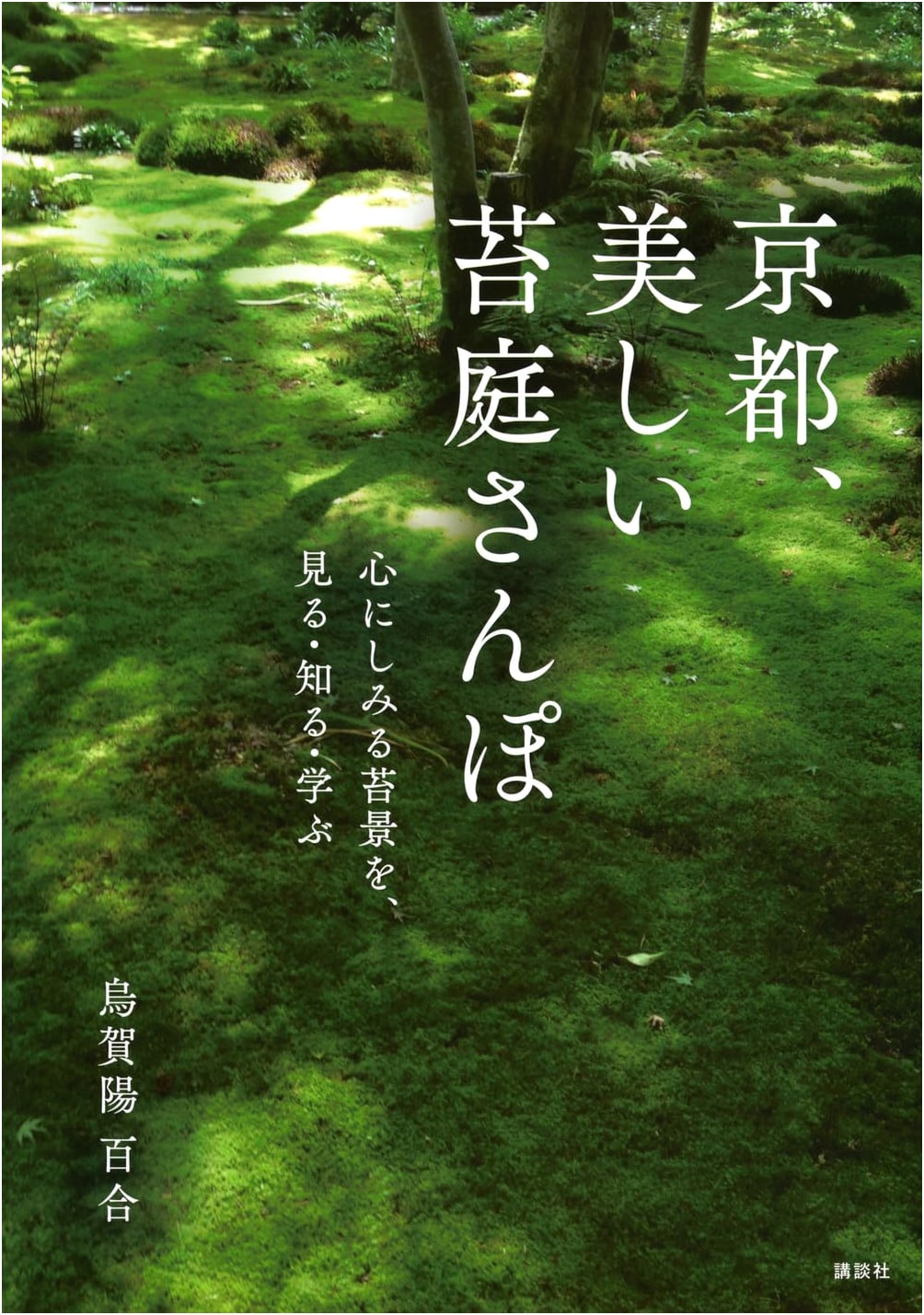 Kyoto Moss Gardens: A Meditative Stroll with Yuri Ugaya