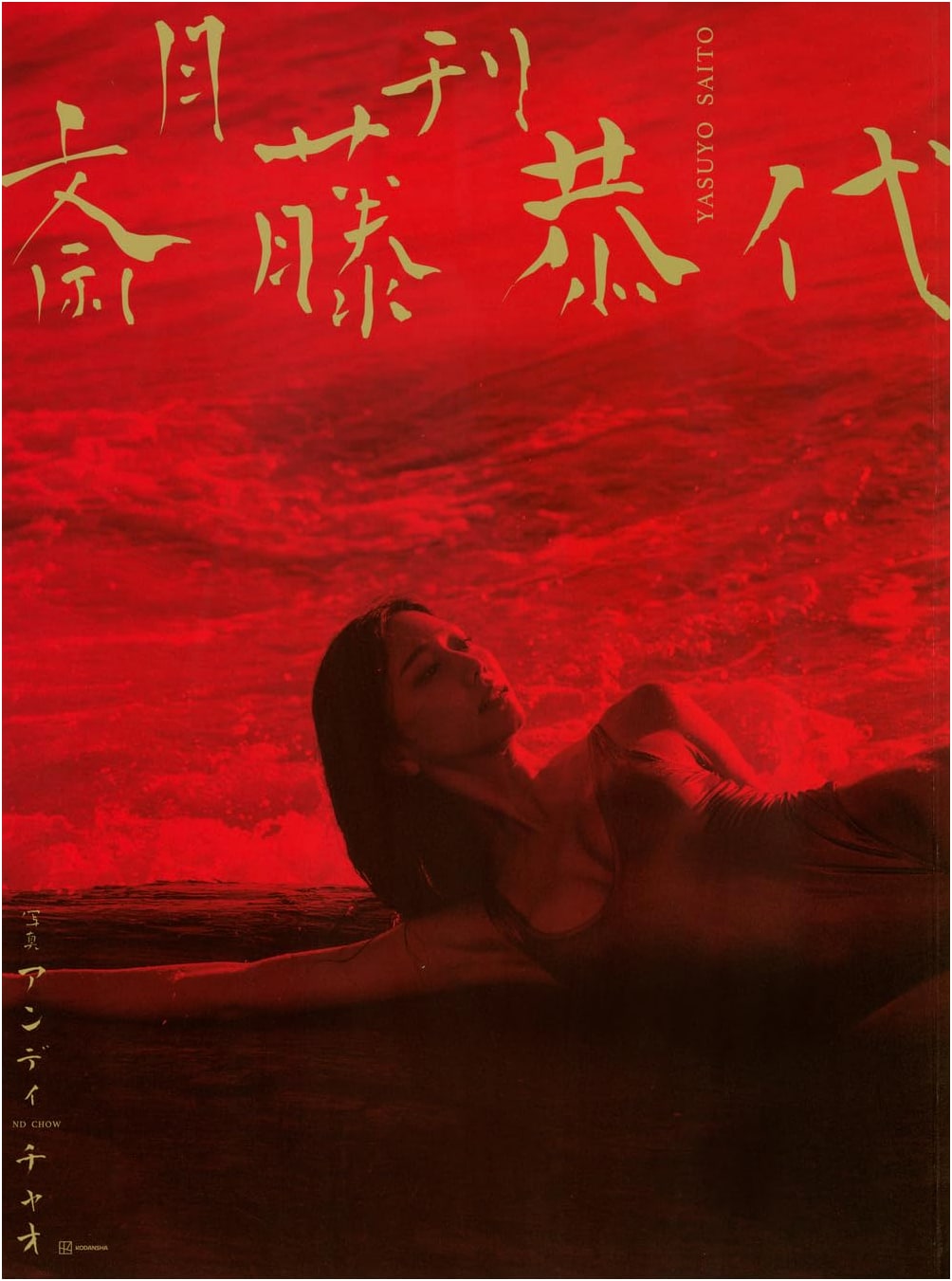 Monthly Saito Yasuyo Photobook