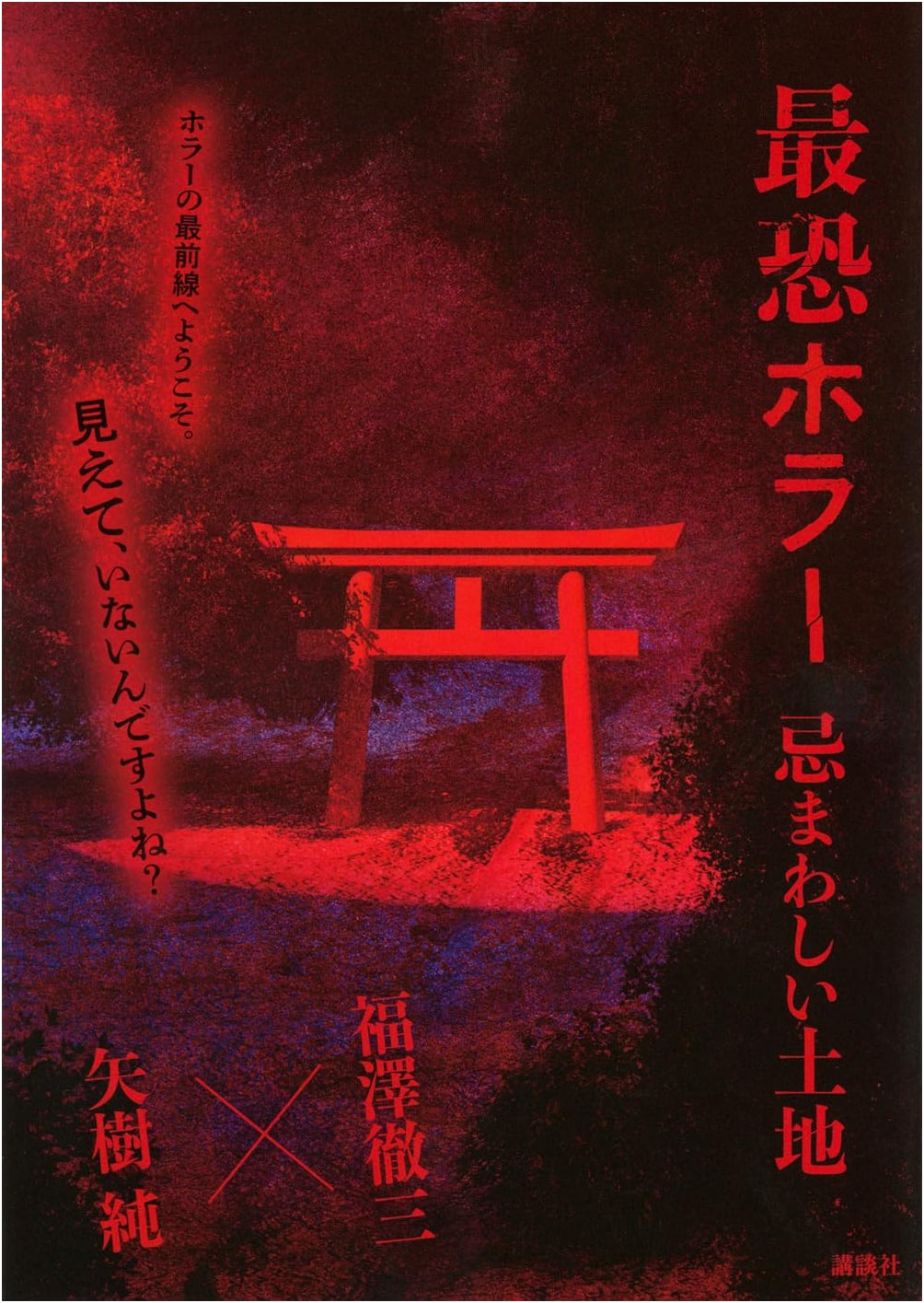 The Most Terrifying Horror: Accursed Land by Tetsuzo Fukuzawa