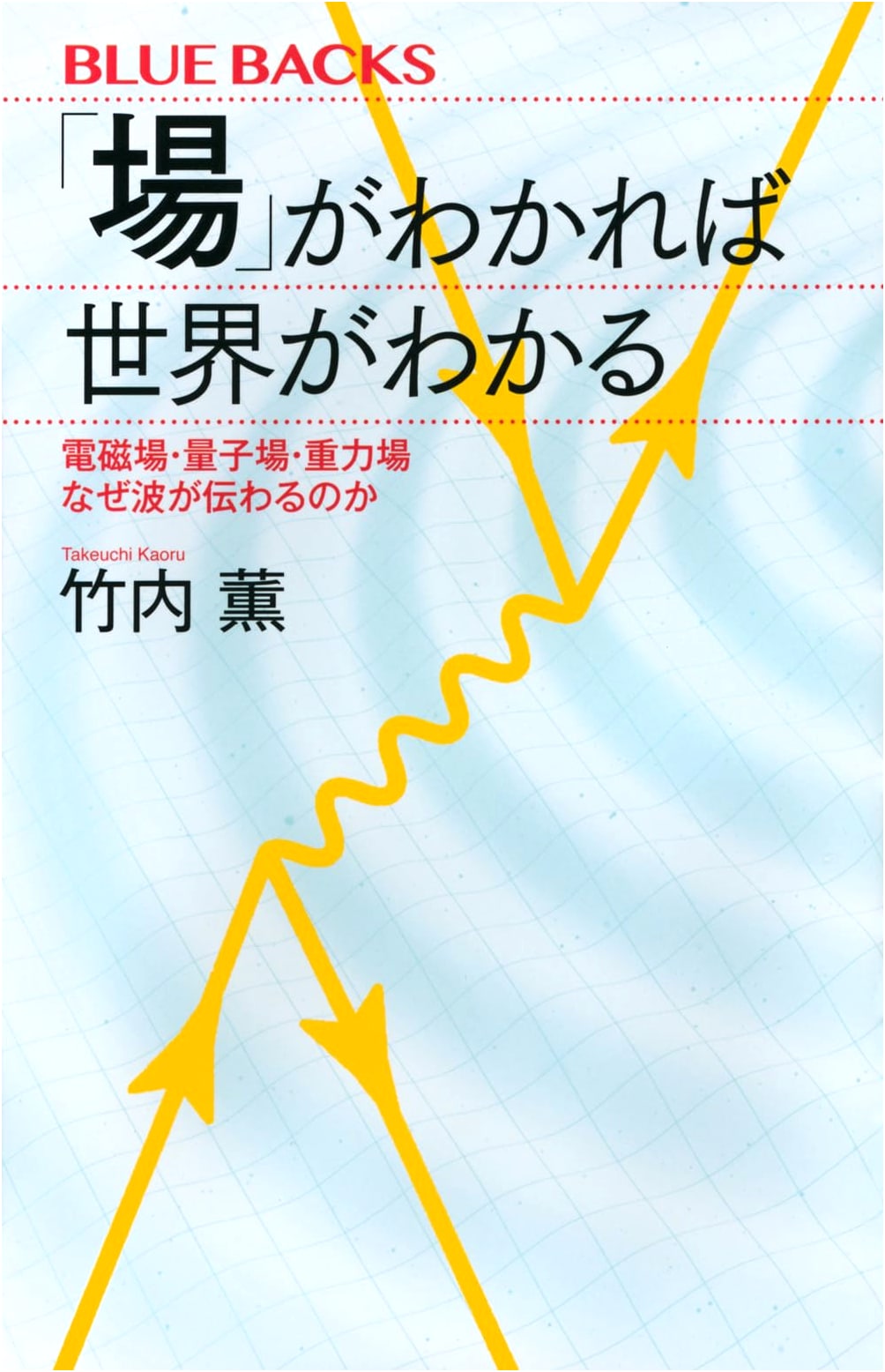 Understanding Fields: Electromagnetism, Quantum Fields, Gravity by Kaoru Takeuchi