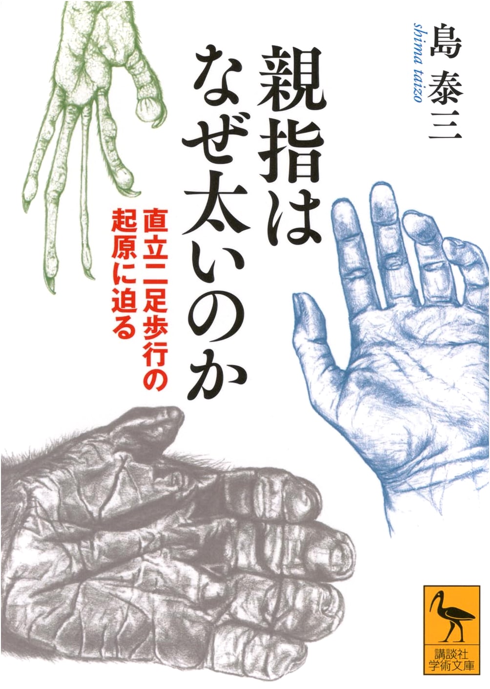 Why Are Thumbs So Thick? The Origins of Upright Bipedalism (Kodansha Academic Library)