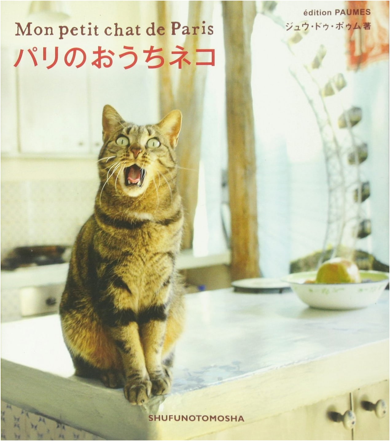 Parisian House Cats by Juu de Pomme