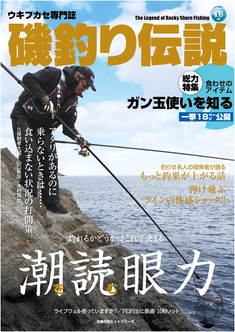 Tide Reading Acuity: Legendary Shore Fishing (Shufunotomo Hit Series)