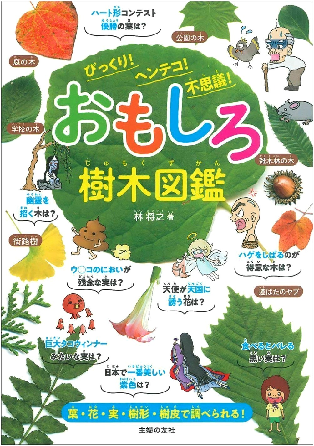 Curious Trees: A Guide to Surprising, Strange & Wonderful Plants