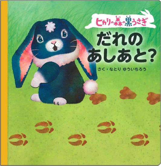 Black Rabbit in the Forest of Light: Whose Footprints?