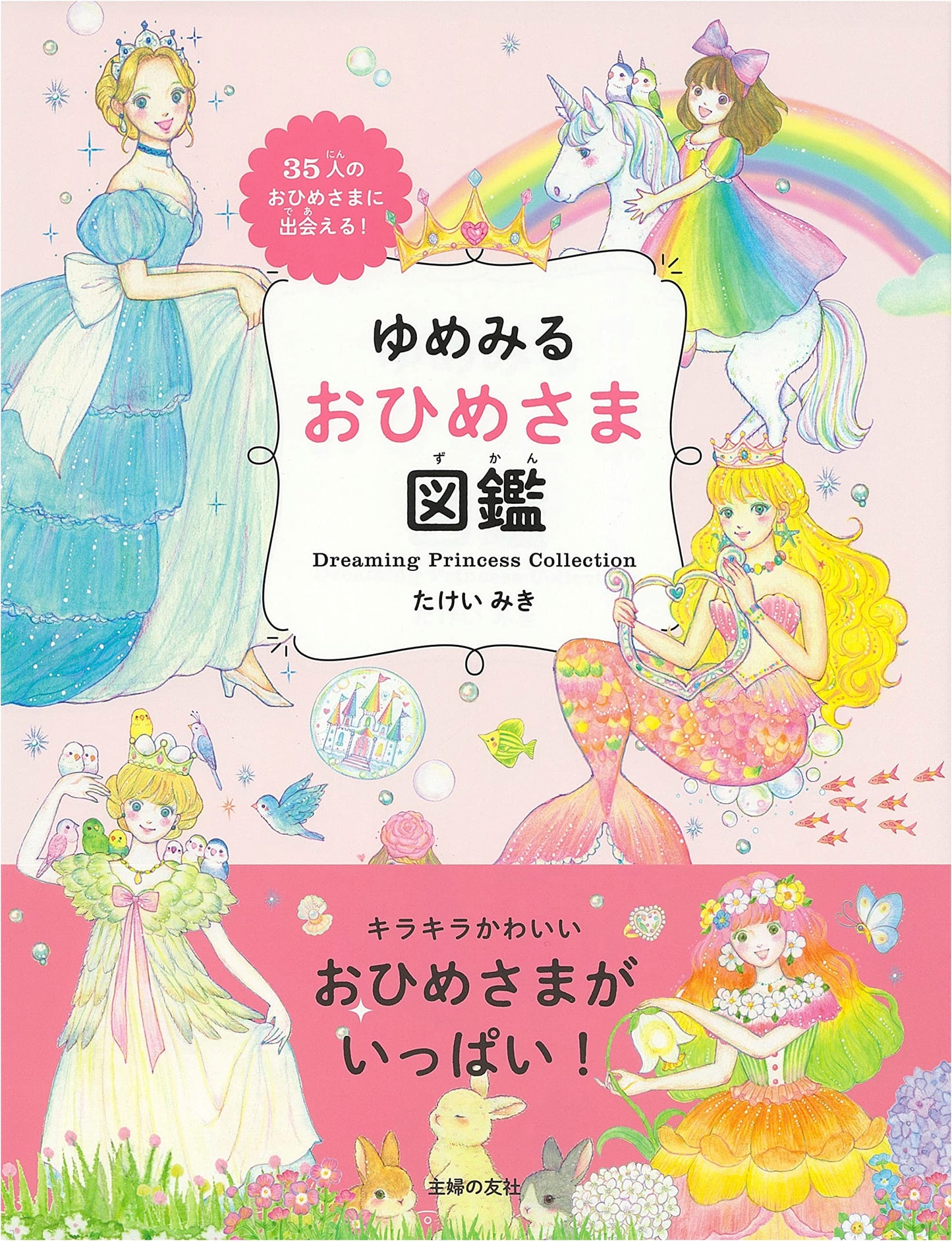 The Illustrated Guide to Dreaming Princesses