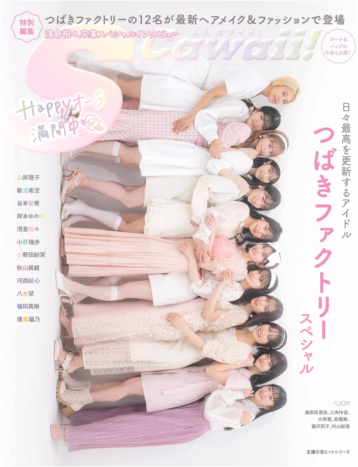 S Cawaii! Special Edition: Tsubaki Factory Special