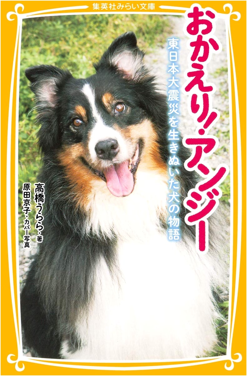 Welcome Home, Angie! The Story of a Dog Who Survived the Great East Japan Earthquake