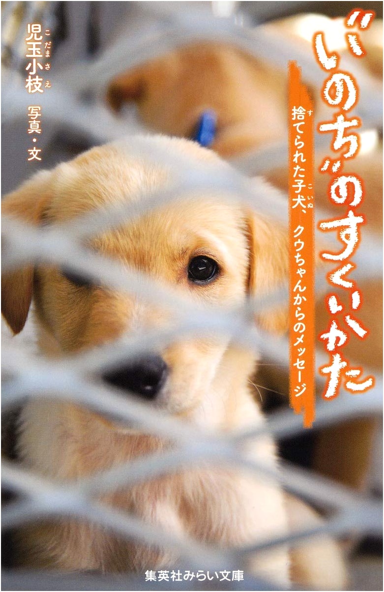 How to Save a Life: A Message from Kuu-chan, the Abandoned Puppy