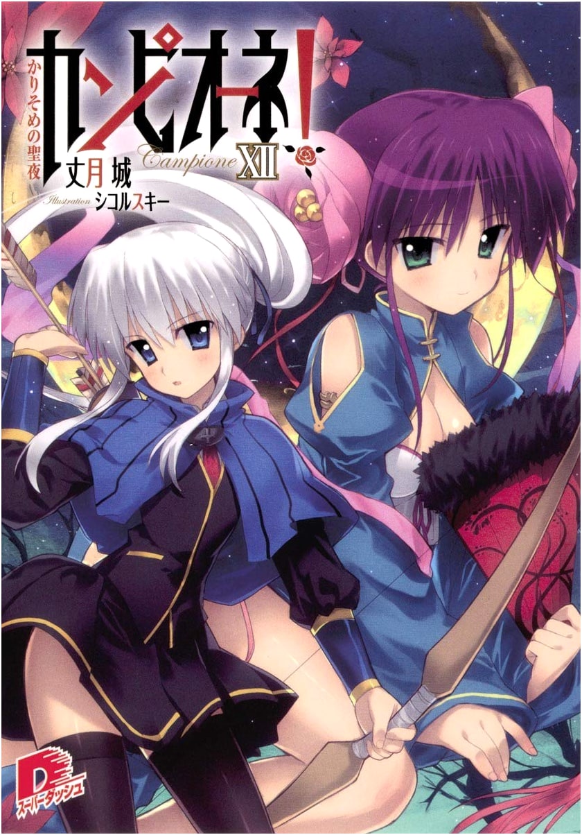 Campione! Vol. 12: A Temporary Holy Night (Super Dash Bunko)