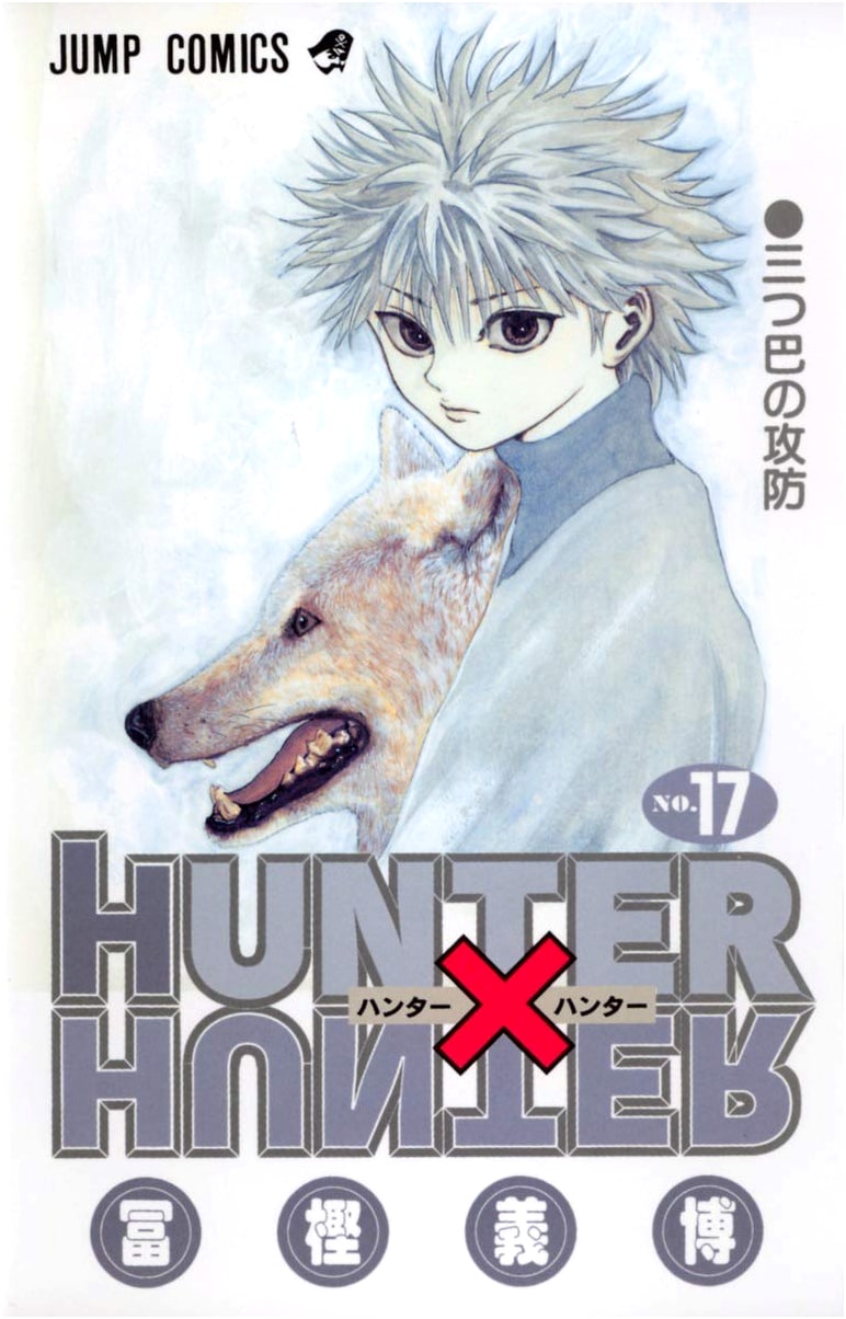 Hunter x Hunter, Vol. 17