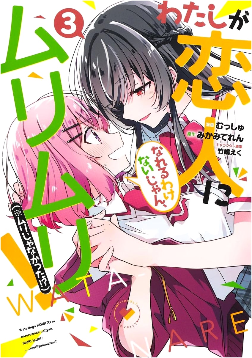 There's No Way I Can Be Your Girlfriend, No Way! (Or Is There!?) Vol. 3 (Young Jump Comics)