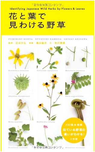 Identify Wild Plants by Flowers and Leaves: A Comprehensive Field Guide