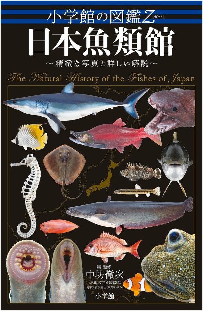 Shogakukan Zukan Z: Encyclopedia of Japanese Fishes - Detailed Photos & Commentary