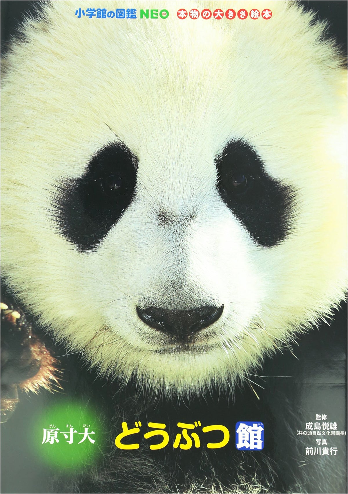 Life-Sized Animal Museum: Shogakukan NEO Picture Book of Real Sizes