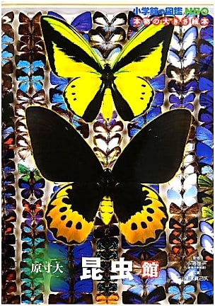 Shogakukan Zukan NEO: Life-size Insect Museum Picture Book
