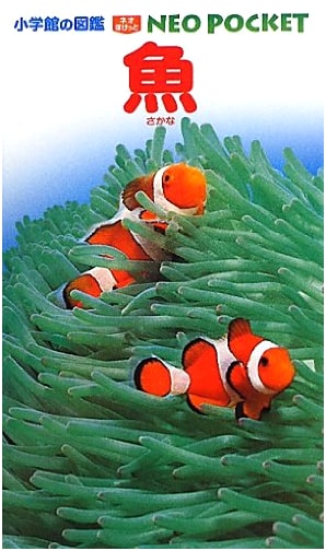 Fish: A Children's Illustrated Guide by Shogakukan
