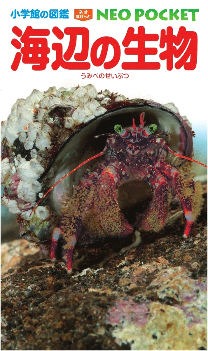 Seashore Creatures (Shogakukan's NEO Pocket Illustrated Encyclopedia) by Tomoyuki Komai