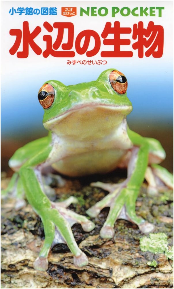 Shogakukan's NEO POCKET Picture Book: Waterside Creatures (Shogakukan Neo Pocket 9)