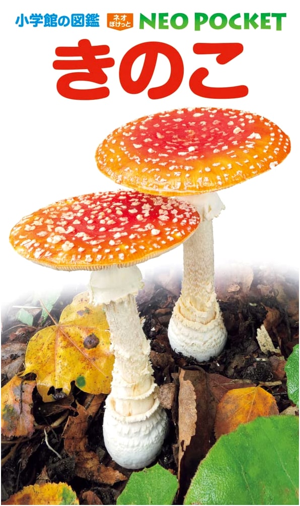 Mushrooms: Shogakukan Zukan NEO Pocket Illustrated Guide Vol. 13