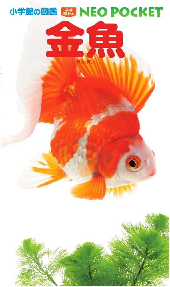 Goldfish (Shogakukan's Zukan NEO POCKET 14)