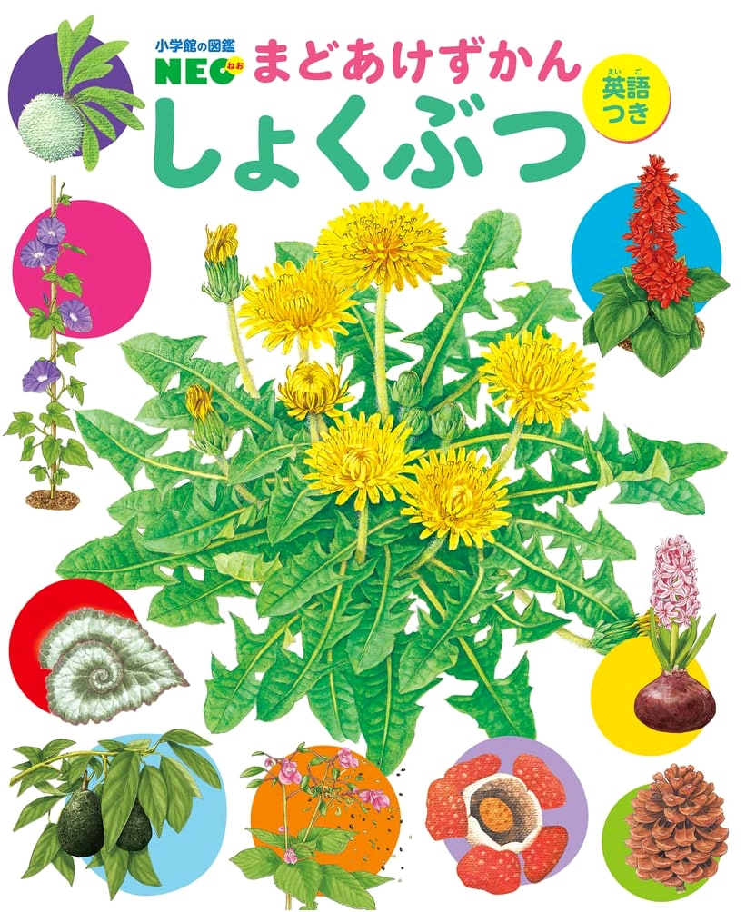 Plants (Shogakukan's NEO Picture Book with English)