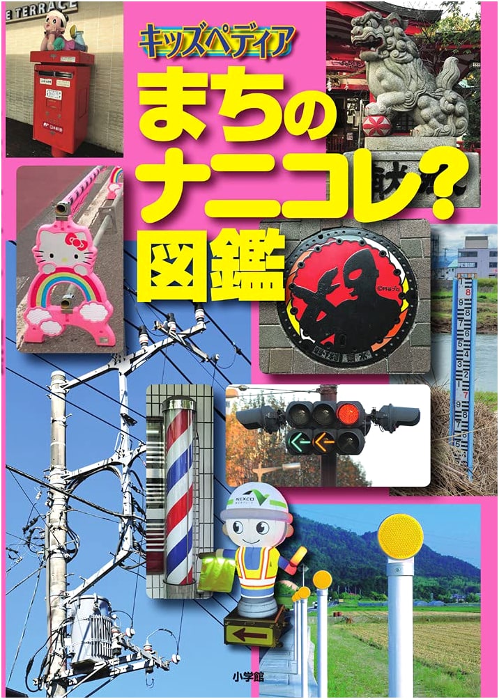 Kids' Pedia: What's That? A Guide to Town Curiosities