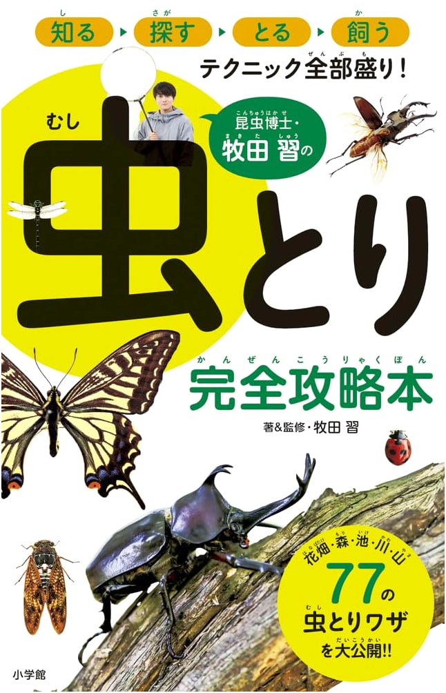 Entomologist Shuu Makita's Complete Guide to Bug Catching