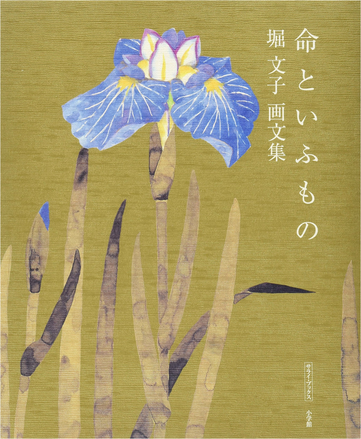 Fumiko Hori's Art and Essay Collection: What Life Is