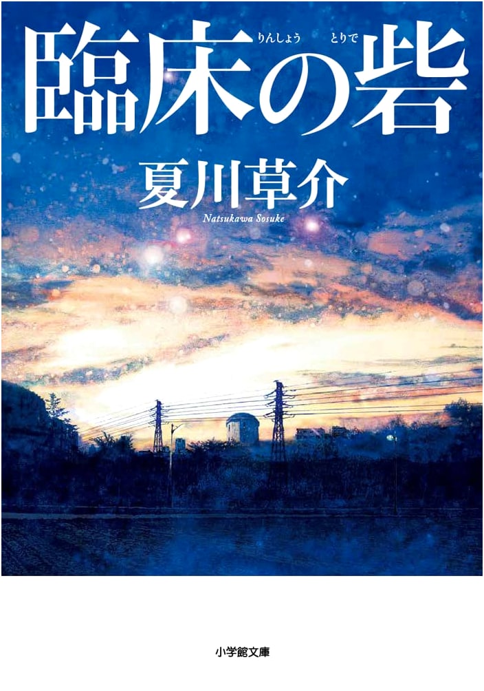 The Fortress of Clinical Medicine by Sosuke Natsukawa