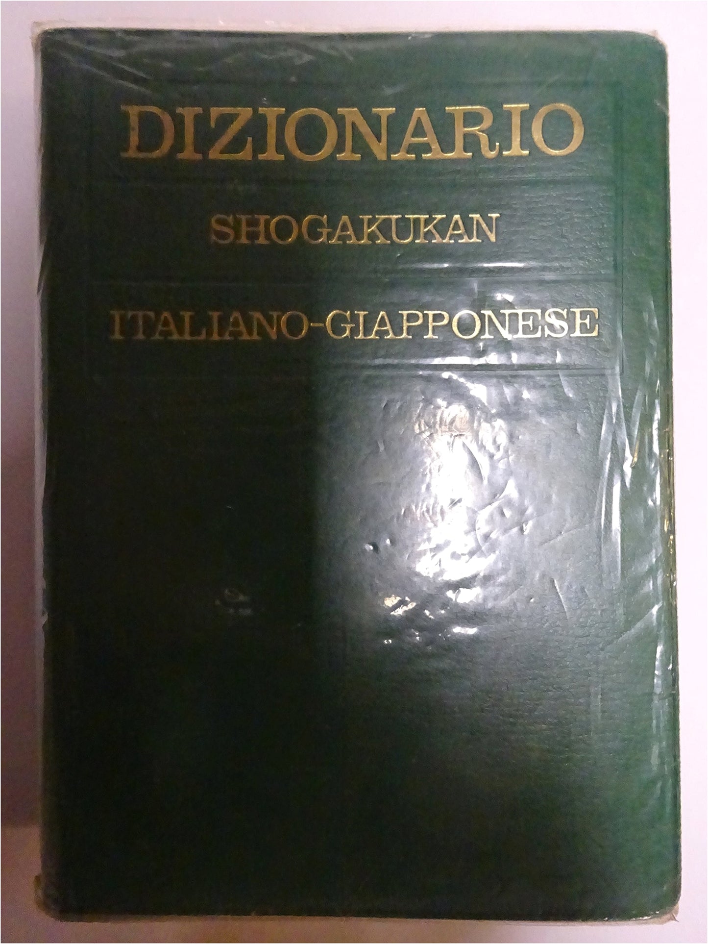 Iwa-Chujiten: Italian-Japanese Dictionary (Revised New Edition)