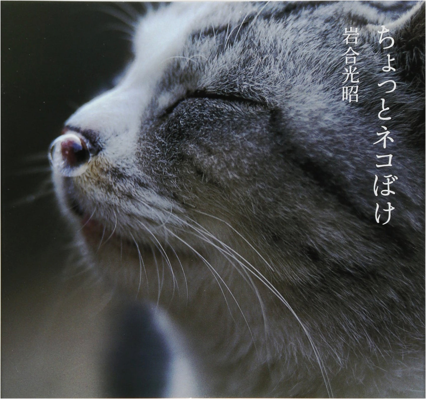 Kittenish: Cats Being Cats by Mitsuaki Iwago