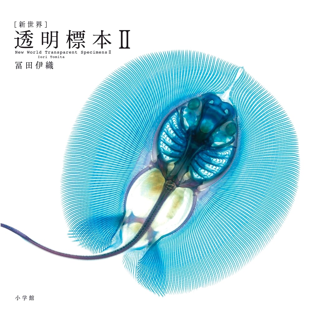 New World Transparent Specimens, Vol. 2