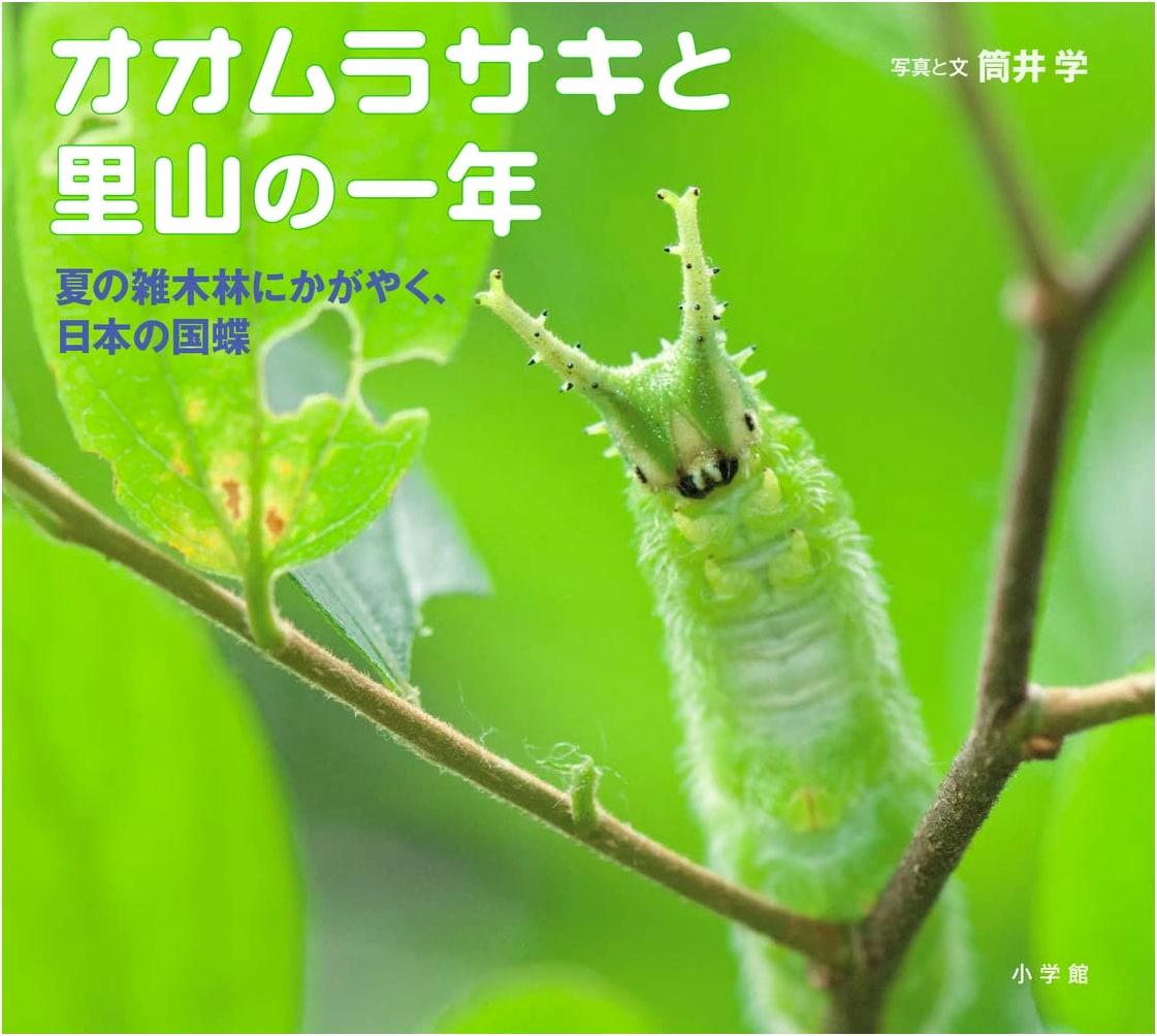 The Great Purple Emperor and a Year in Satoyama: Japan's National Butterfly in Summer Woodlands