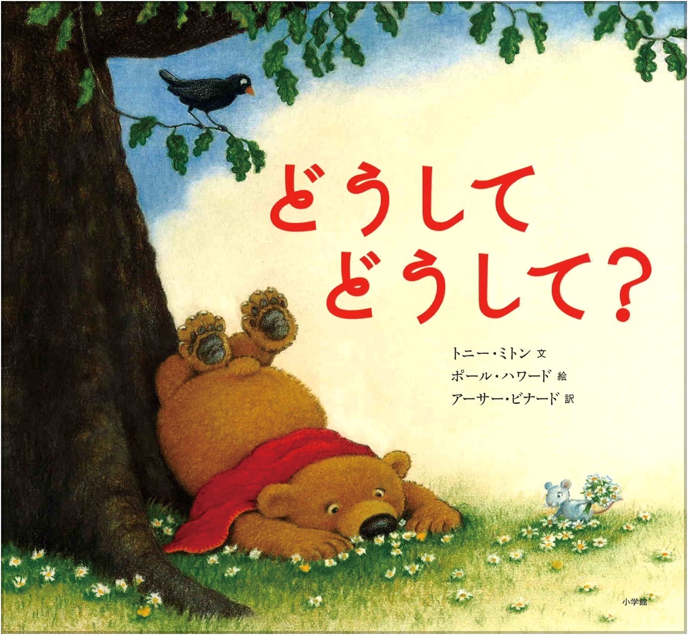 Why? Why? by Tony Mitton